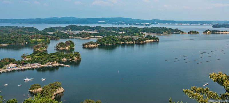 Ilots de Matsushima dans la baie