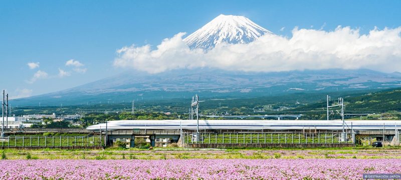 Shinkansen passant devant le Mont Fuji