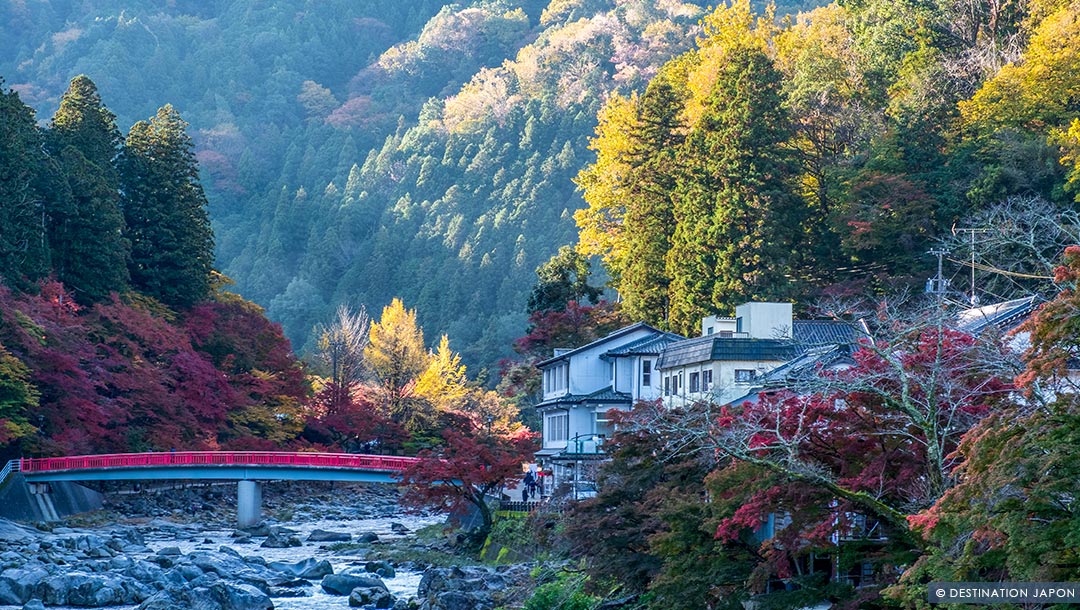 Vallée Korankei et ses feuilles d'automne (Nagoya)