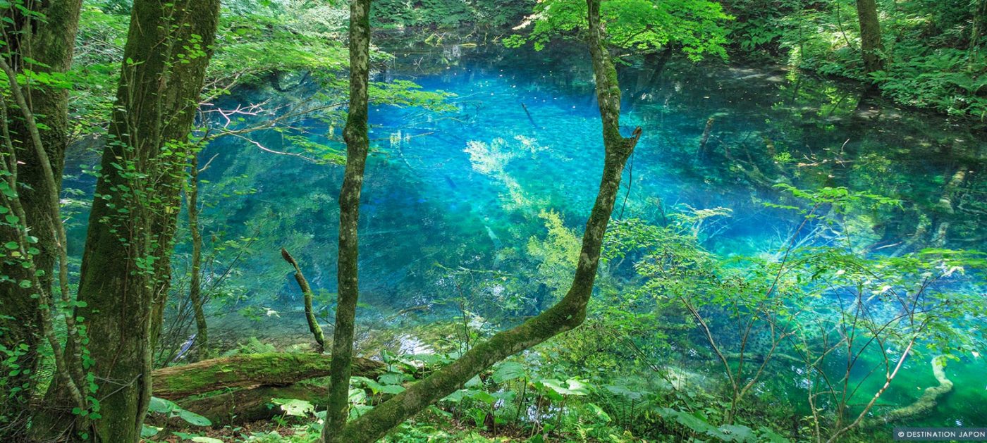 Lac bleu dans les montagnes Shirakami sanchi
