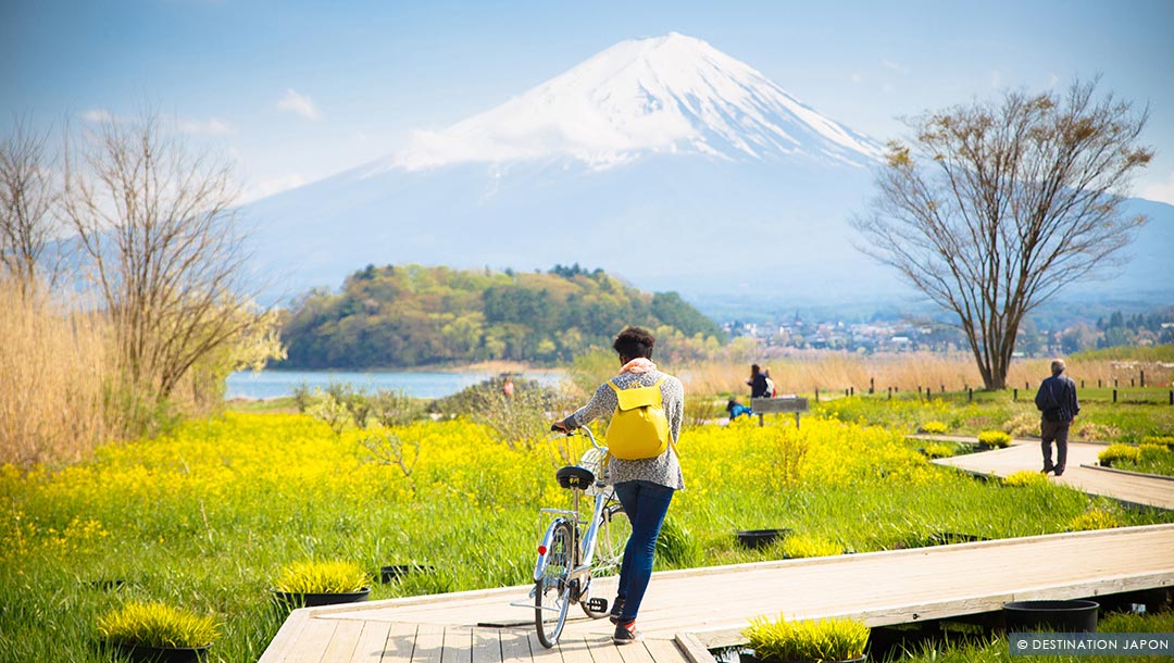 Touriste en balade à vélo à Kawaguchiko